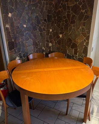 Tavolo allungabile Calligaris + 6 sedie