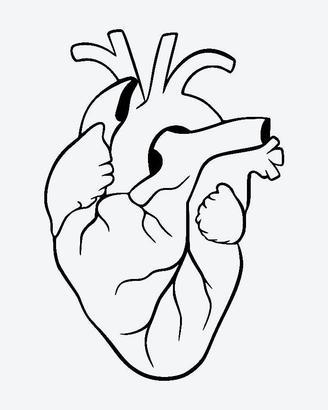 Tatuaggio Temporaneo - Cuore Anatomico - tattoo