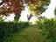 Immagine 25