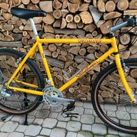 Specialized Stumpjumper vintage