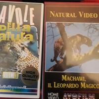 Viseocassette VHS cartoni, documentari, film