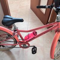 Bici 24”