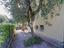 Immagine 28