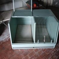 gabbia cani
