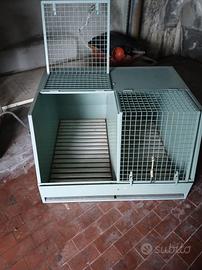 gabbia cani