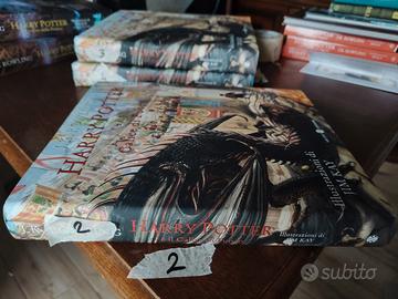 Harry Potter e il calice di fuoco Jim kay