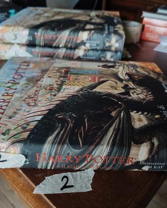 Harry Potter e il calice di fuoco Jim kay