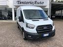 ford-transit-290-2-0tdci-ecoblue-mhev-130cv-pm-t