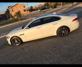 Jaguar XF Prestige Business 3.0 dv6 300 cv