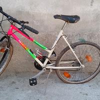 Mountain bike 