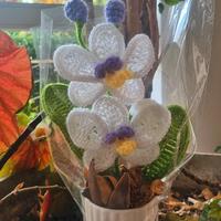 orchidea realizzata all'uncinetto 