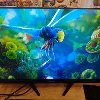 monitor gaming IPS Philips evnia 165hz 
