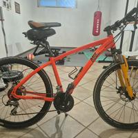 bicicletta da uomo professionale