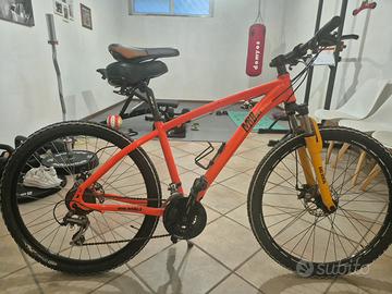 bicicletta da uomo professionale