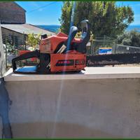 Motosega Ikra — Apparato Meccanico da Controllo