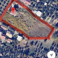 Vigneto produttivo 7000mq + casa singola 200mq