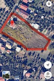 Vigneto produttivo 7000mq + casa singola 200mq