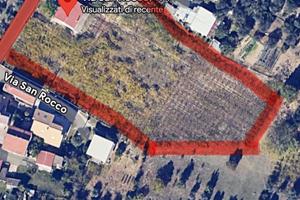 Vigneto produttivo 7000mq + casa singola 200mq