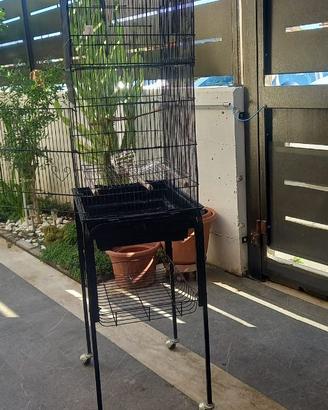 Gabbia per uccelli