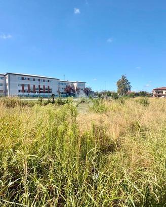 TER. RESIDENZIALE A CALCINATE