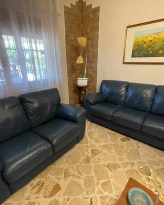 Coppia divani 2 e 3 posti