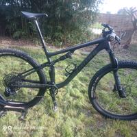 specialized Expert Evo taglia l