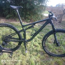 specialized Expert Evo taglia l