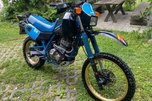 Suzuki 600 rd Olteimer