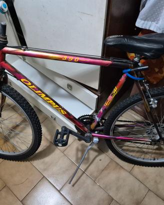 mountain bike