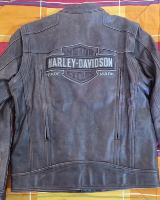 Giacca pelle 2 in 1 Harley-Davidson 