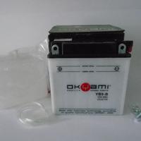 Batteria YB9-B