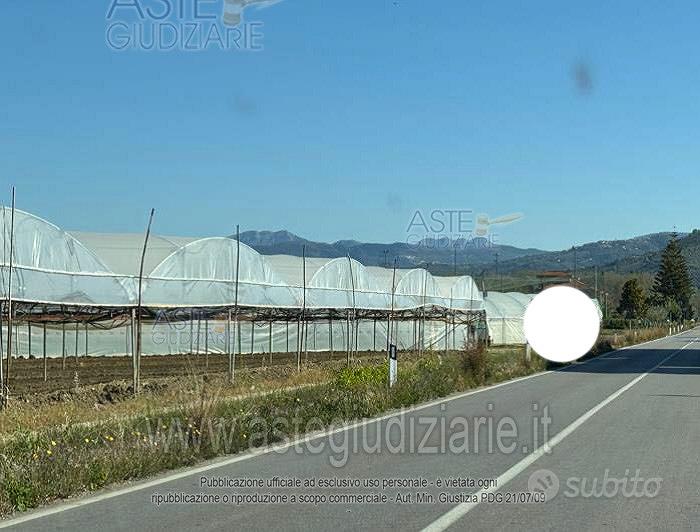 Terreno Agricolo Castelnuovo Cilento [A4355490] - Vista 5