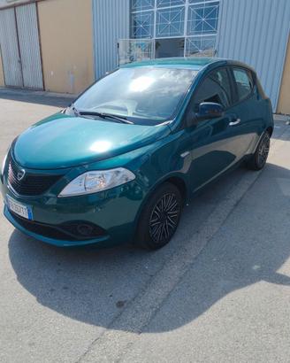 Lancia ypsilon 1.2 69cv Platinum