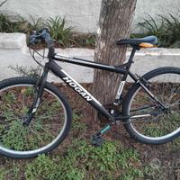 Bici da uomo