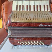 Fisarmonica Beccacece 