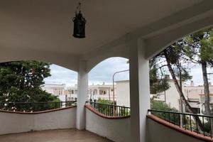 Quadrilocale Rodi Garganico