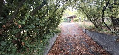 Terreno-Pedara