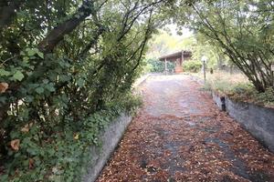 Terreno-Pedara