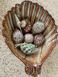 Conchiglie da arredamento