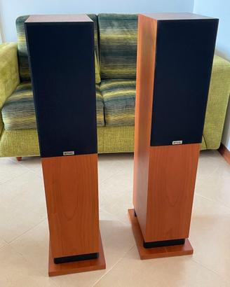 ProAc Response D20R – Tweeter a Nastro – Magnifici