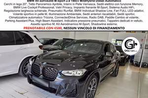 BMW X4 XDrive20d M-Sport C20" TETTO Navi CAM LED 