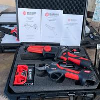 KIT POTATORE E FORBICE CON ASTA