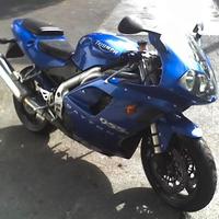 triumph daytona 955i