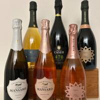 6 bottiglie champagne e metodo classico