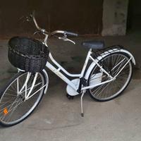 bicicletta da passeggio 