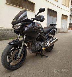 Yamaha TDM 900 - 2007