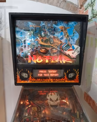 Flipper No Fear 