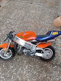 Minimoto Polini