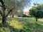 Immagine 24