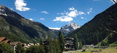 Bilocale stagione estiva